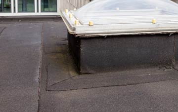 disadvantages of Fryton flat roofs