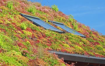 Fryton living roof systems
