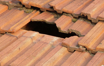roof repair Fryton, North Yorkshire