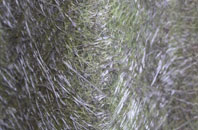 Fryton fibreglass roof work